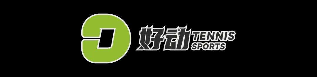 安东内利加泰排位赛获第三